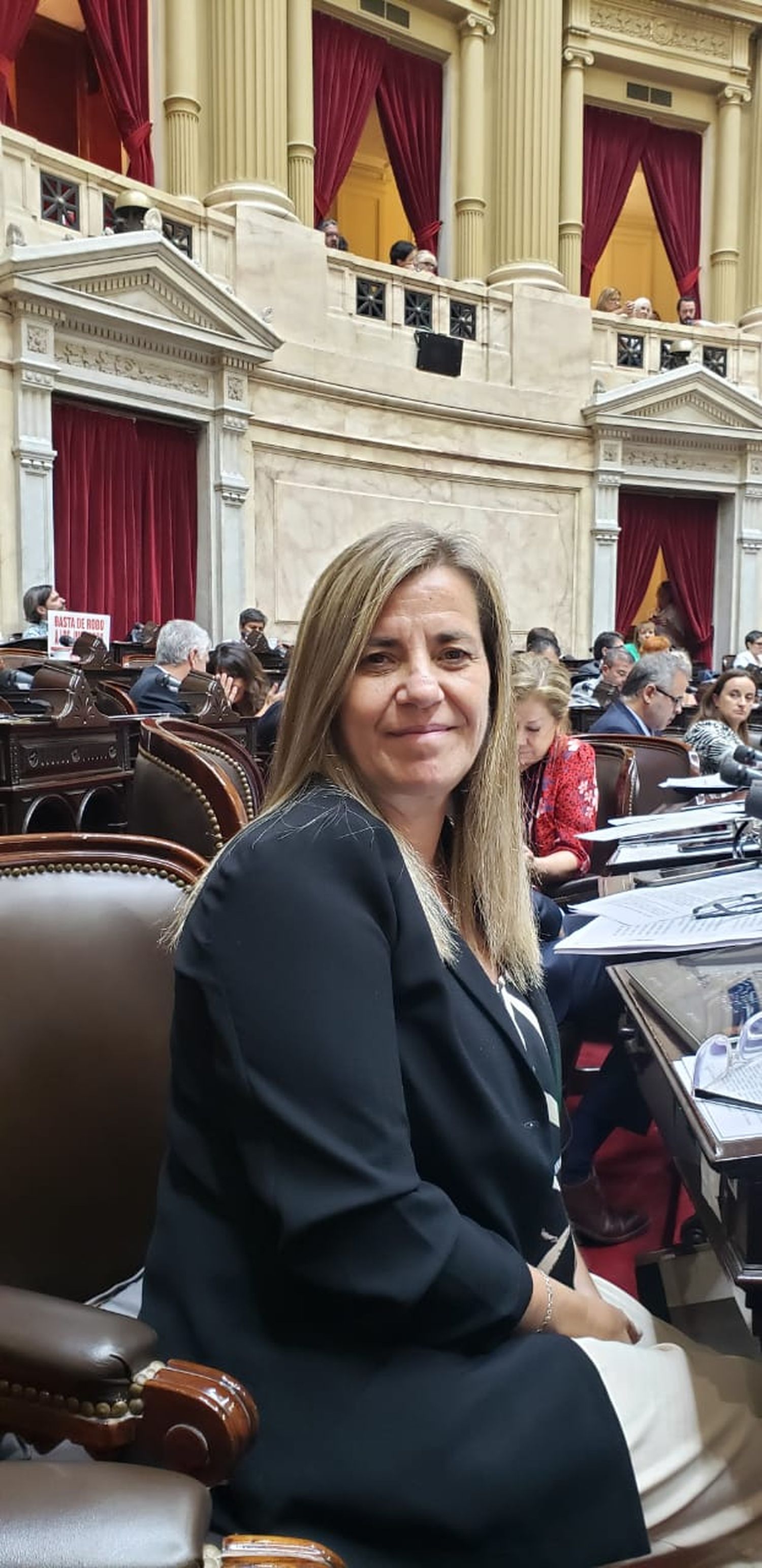 Diputada nacional, Marcela Ántola.
