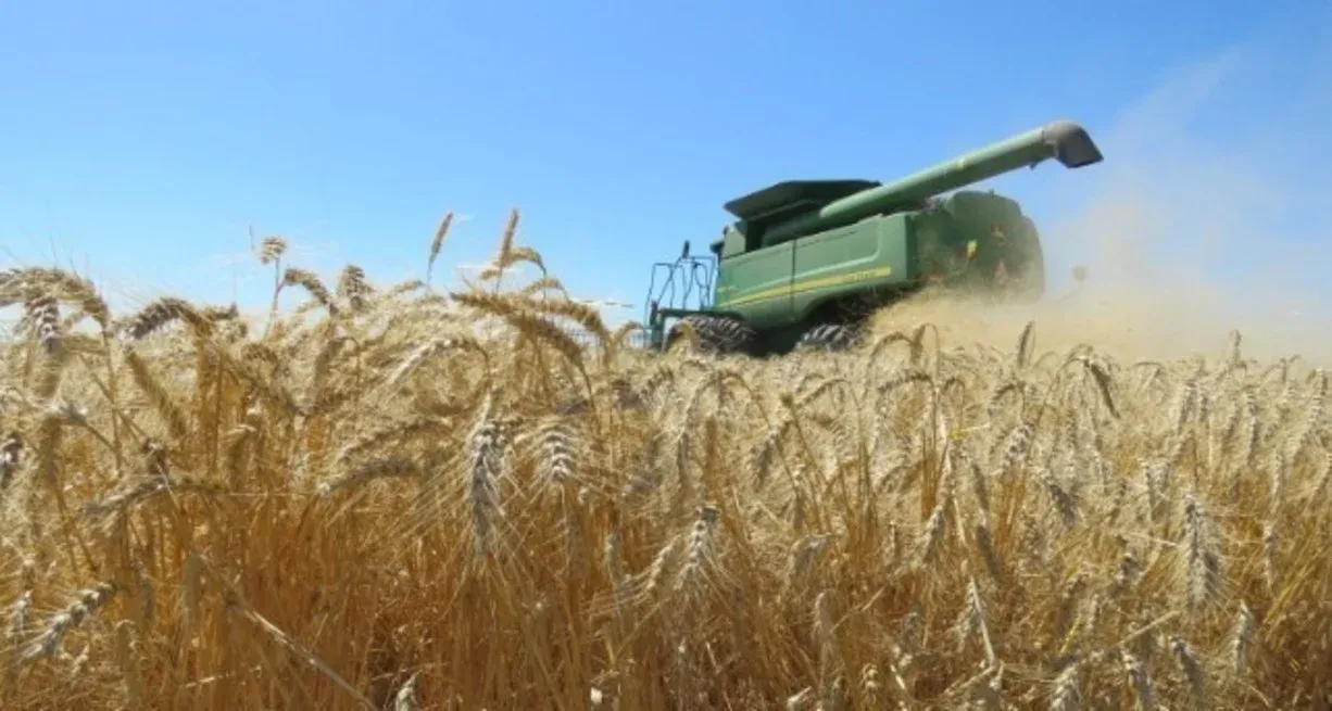 Alimentos y cooperación técnica, las puertas abiertas por Santa Fe en el norte de África