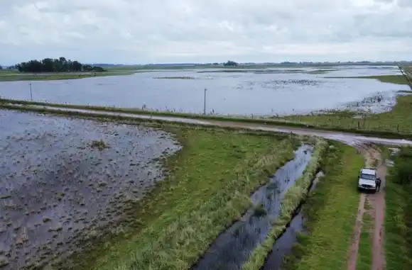 Alerta agropecuaria: casi 6 millones de hectáreas afectadas por inundaciones en la provincia