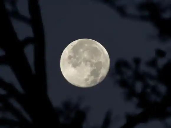 Esta es la fecha en la que se podrá ver la la Superluna de noviembre 2025