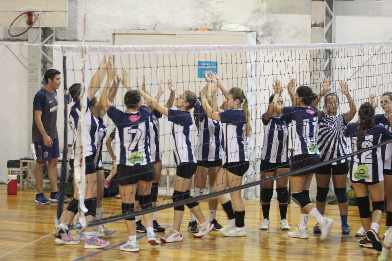 Voley 3