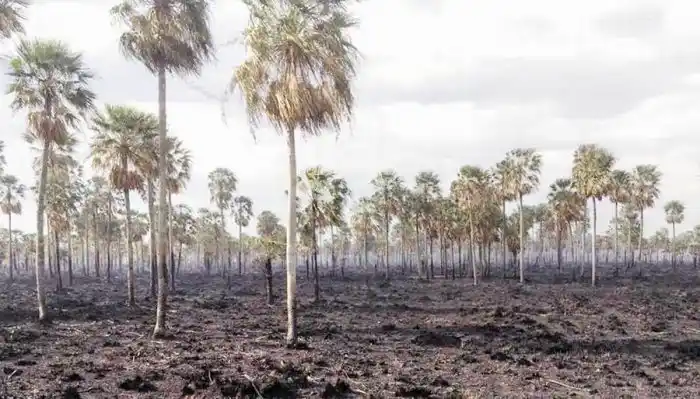 La SRA instó a los gobiernos provinciales a tomar medidas frente a la sequía