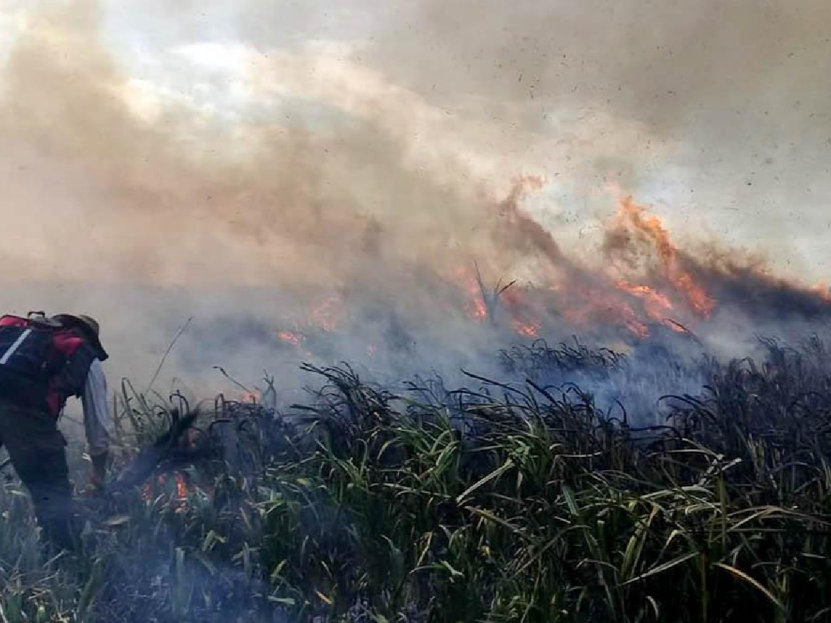 "La Hora del Planeta" convoca a apagar las luces y crear conciencia ambiental