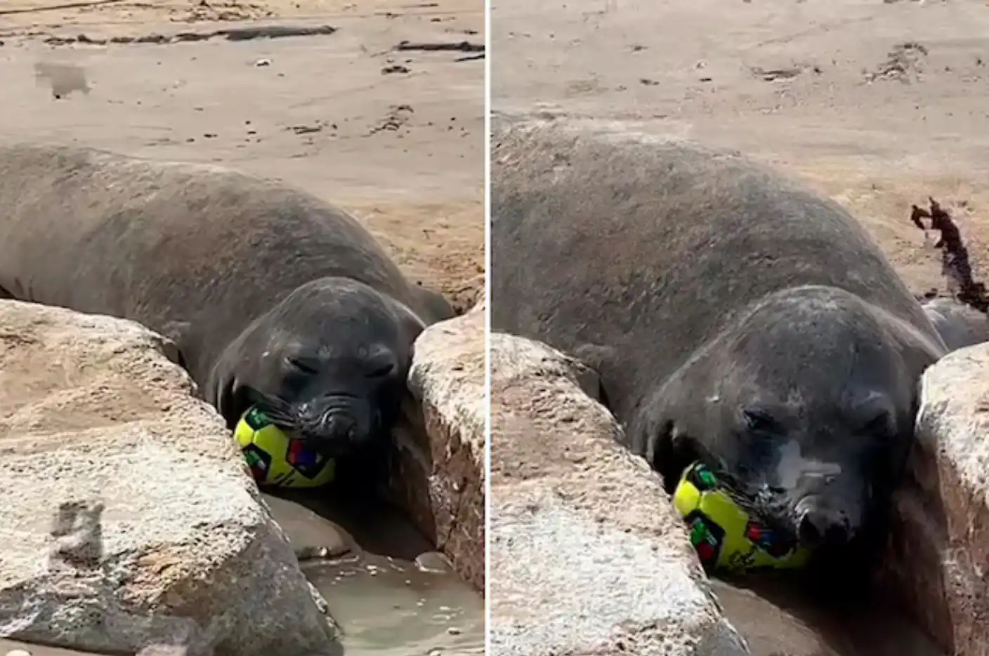 Según relató Nadin (@na_casal), usuaria de TikTok, la compra había sido reciente