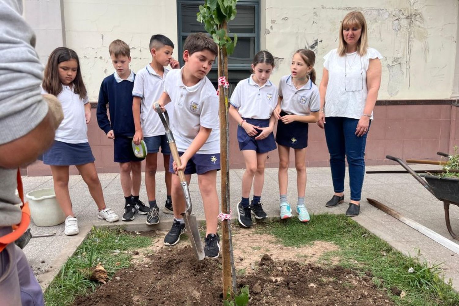 Plantación de 76 árboles:  trabajo conjunto de universidades, empresas y municipio