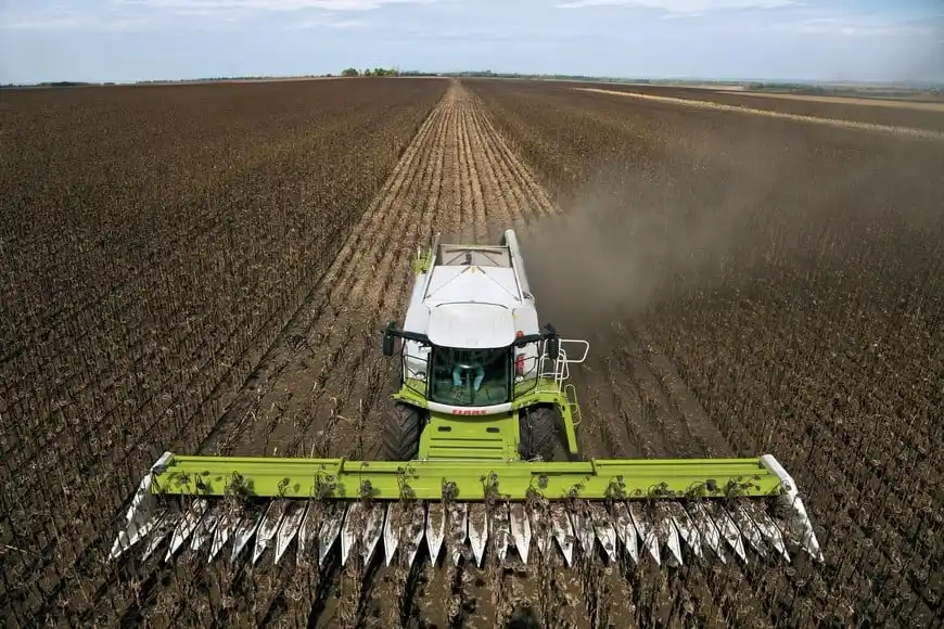 Los derivados de soja tendrán una reducción del 31% al 24,5%.