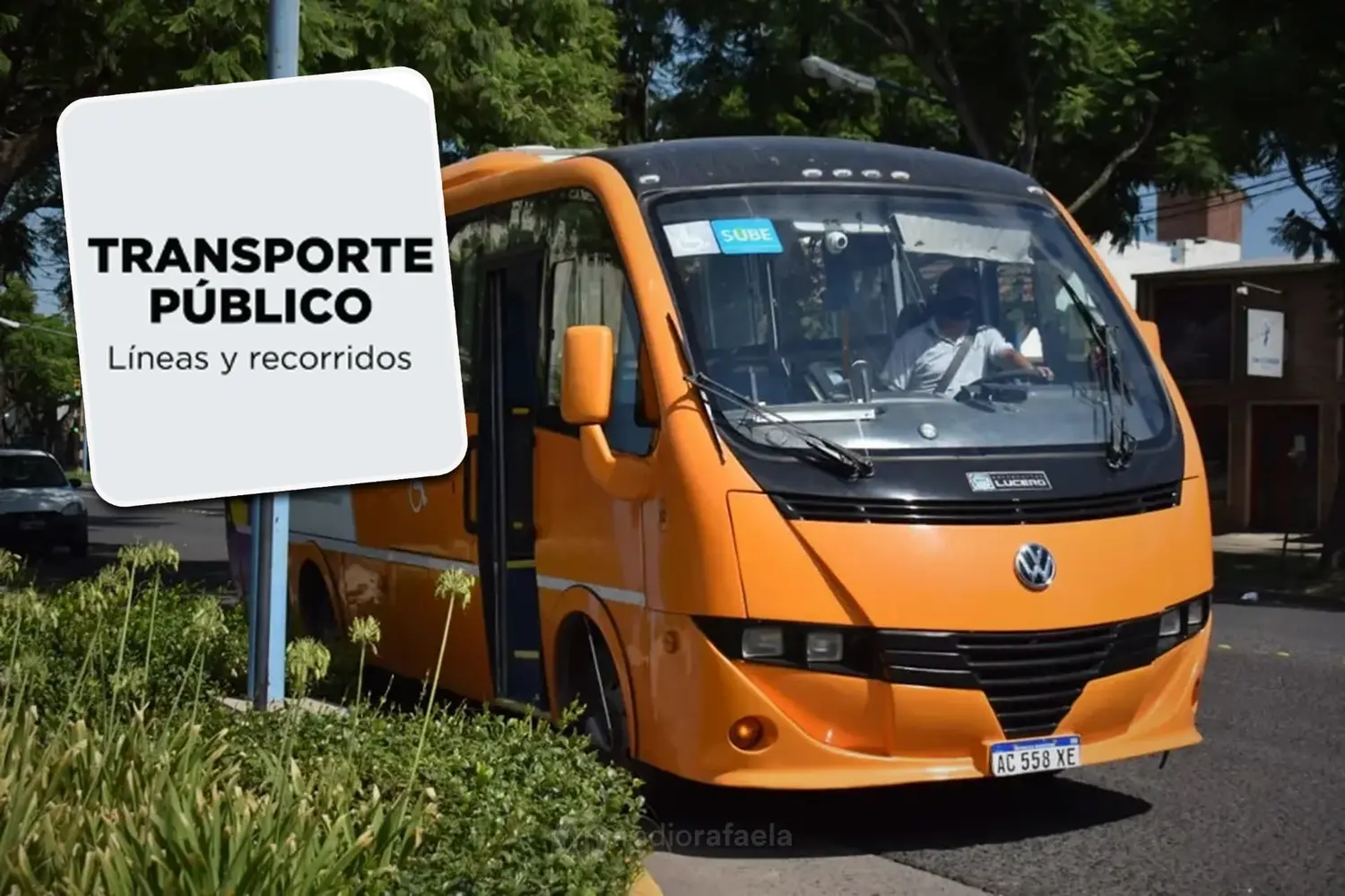 Transporte urbano en Rafaela: así quedaron las frecuencias y los días del servicio