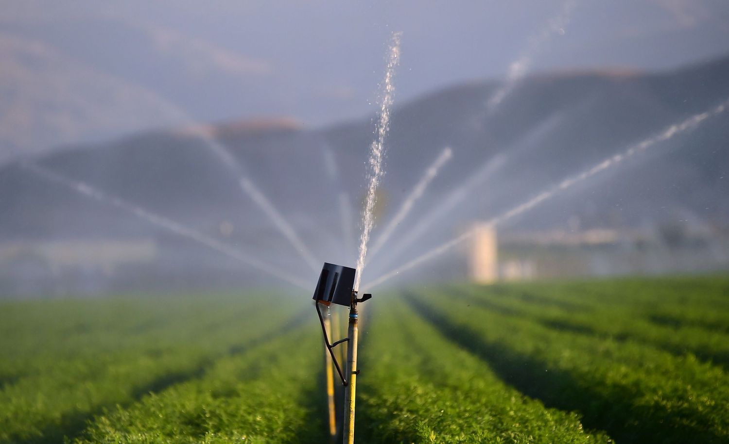 El potencial de la tecnología para salvar el agua