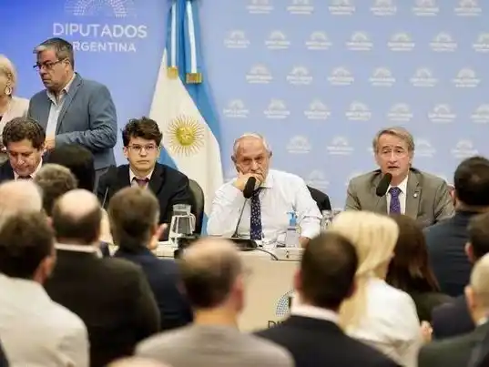 Ley de Glaciares: El oficialismo pidió 
formalmente sesionar este miércoles