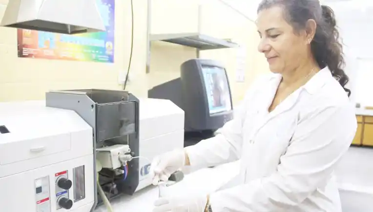 Investigan la bioaccesibilidad de minerales en carne de pescado de río y arroz