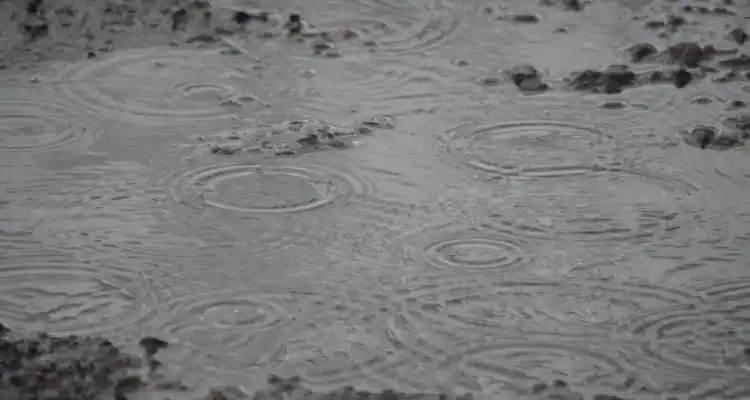 Llovió más de 40 milímetros en 24 horas y cesó el alerta meteorológico