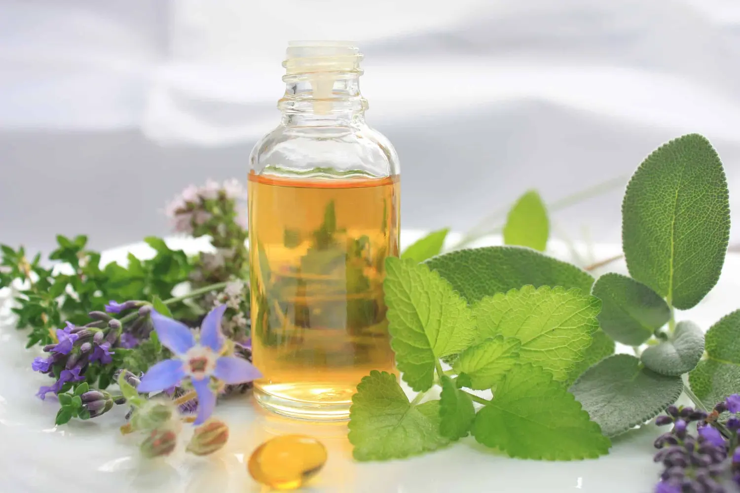 Desparasitante casero con solo dos ingredientes (+Video)