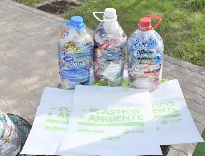 Más de 500 familias concordienses ya forman parte  de la red de hogares verdes 