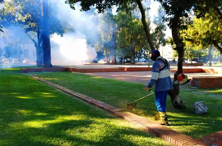 Intensifican las tareas de fumigación en espacios verdes de Rosario