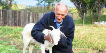 Un brasileño de 74 años se casará con su cabra