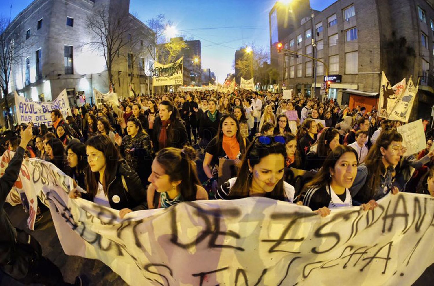 Miles de estudiantes e investigadores marcharon en el centro