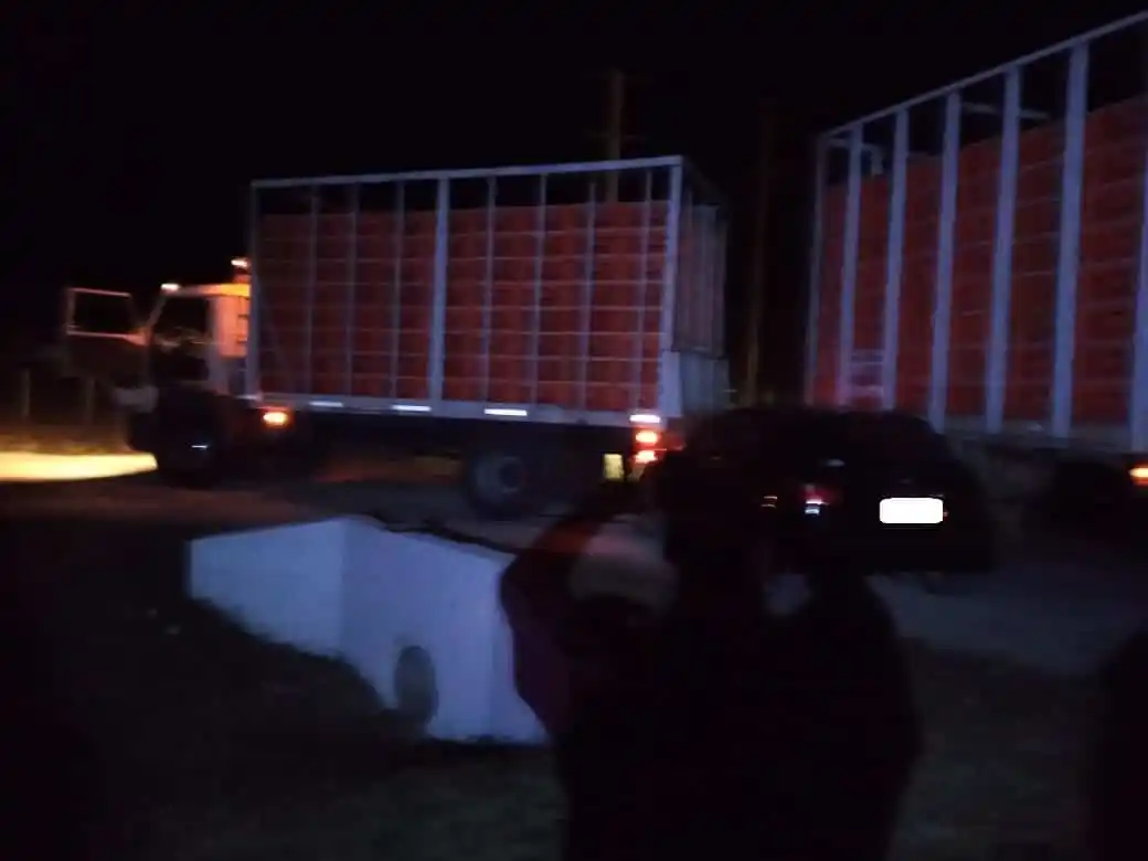 Automovilista chocó un camión que ingresaba a una granja