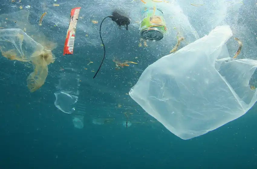 Alertan que los residuos plásticos ya contaminaron "todos los rincones de los océanos"
