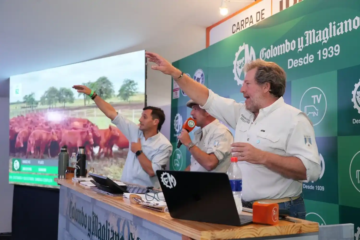 Banco Provincia y Colombo y Magliano apuestan por la ganadería del sudoeste