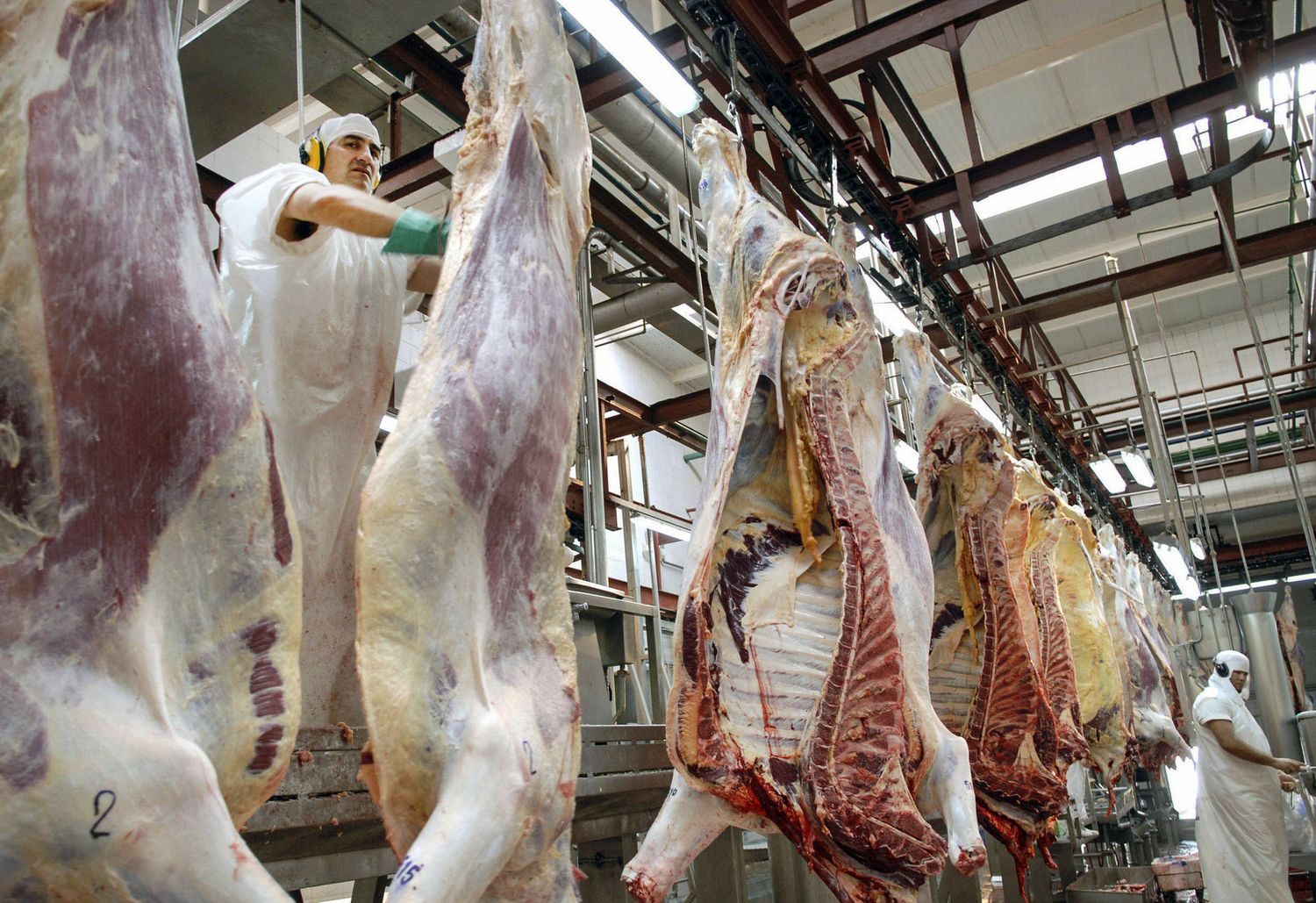 El Gobierno también eliminará las retenciones a la exportación de carne vacuna y pollo