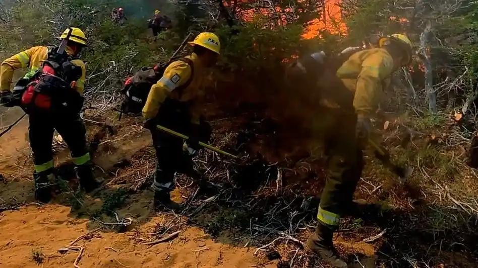 Un incendio en Cafayate ya consumió 200 hectáreas y los brigadistas trabajan para evitar que llegue a zonas urbanas