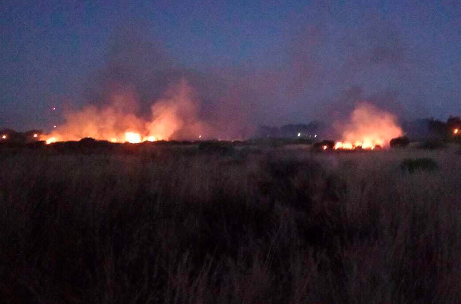 Rutas en llamas: bomberos controlaron dos incendios de pastizales