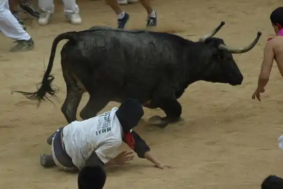 Un muerto y un herido tras ser corneados en un encierro de toros en Valencia