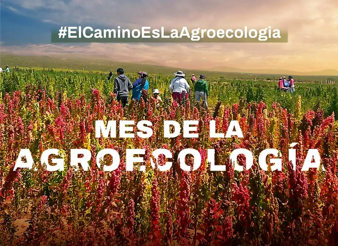 En el Mes de la Agroecología, la FAO destaca a la Chacra de Barrow