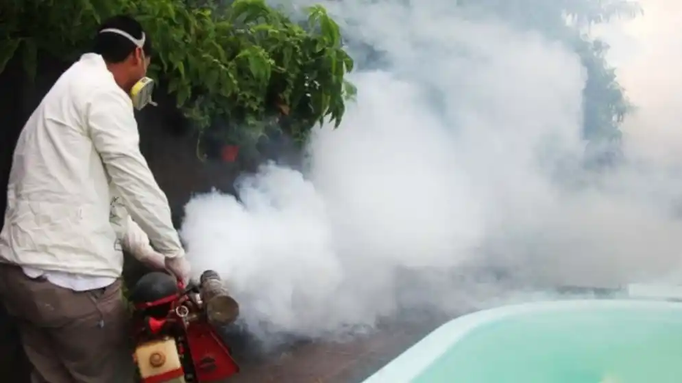 Chikungunya en Paraguay: acumula más de 24 mil casos