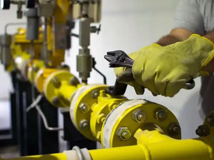 La ola polar disparó el consumo de gas y casi 150 empresas se quedaron sin suministro