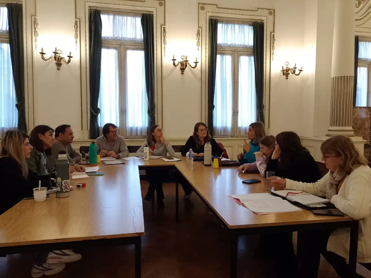 Tratamiento de Proyectos en el Concejo Deliberante