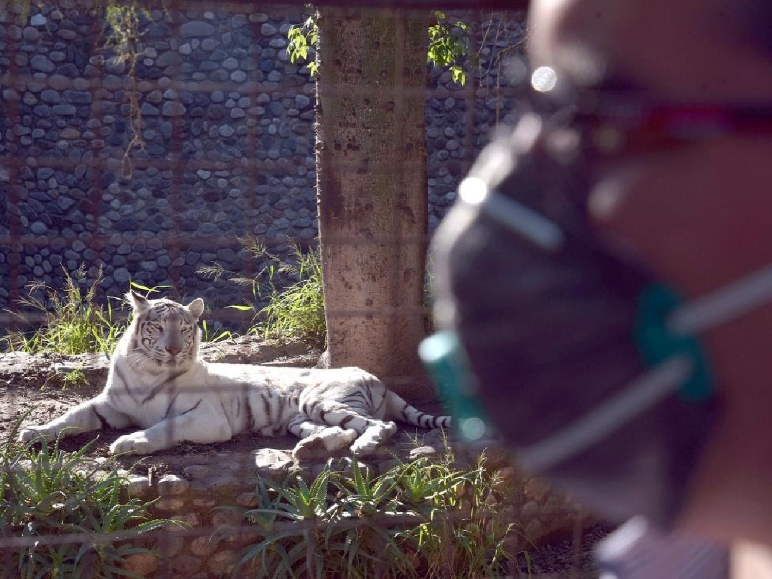 Juntan alimentos para los animales del zoo de Córdoba