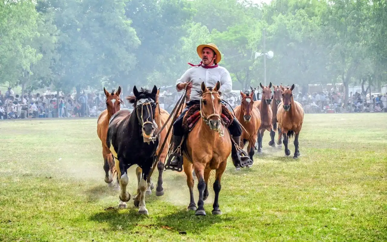 San antonio de areco