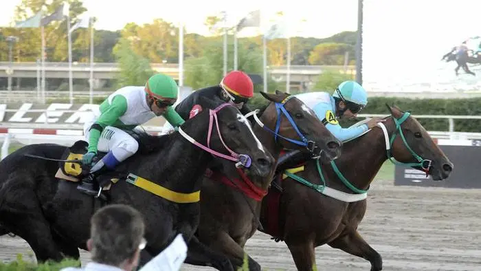 Viernes14: Actividad Hipódromo de Palermo
