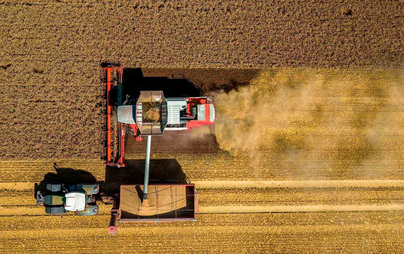 Uno de cada cinco “goles” de la economía argentina los mete el agro
