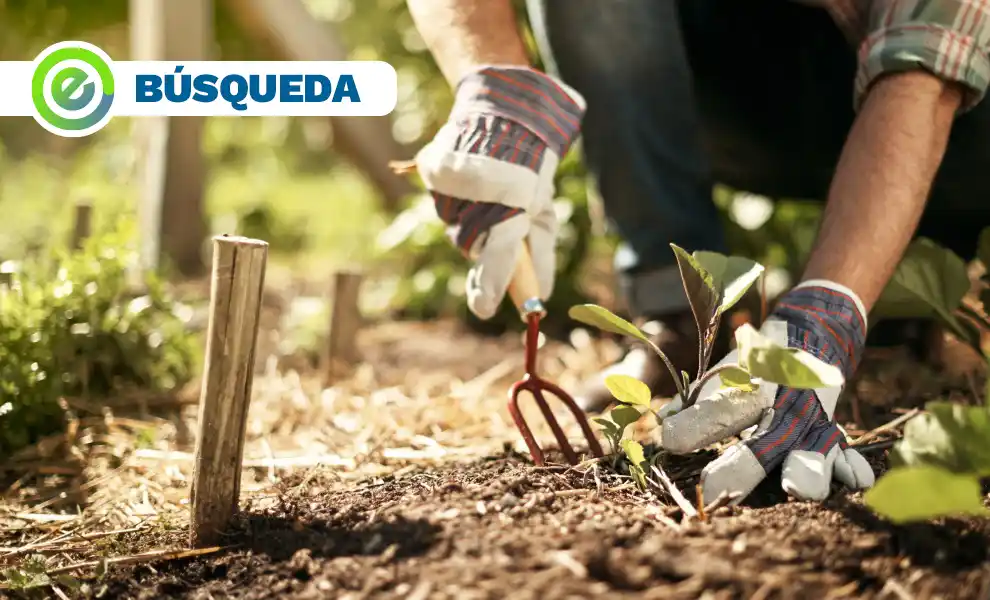 Se busca matrimonio para trabajar en estancia