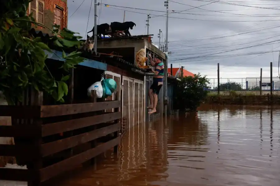 Un hombre escala una verja para acceder a una casa en una zona inundada en Eldorado do Sul, estado de Rio Grande do Sul, Brasil.
</p><p>Reuters /NA