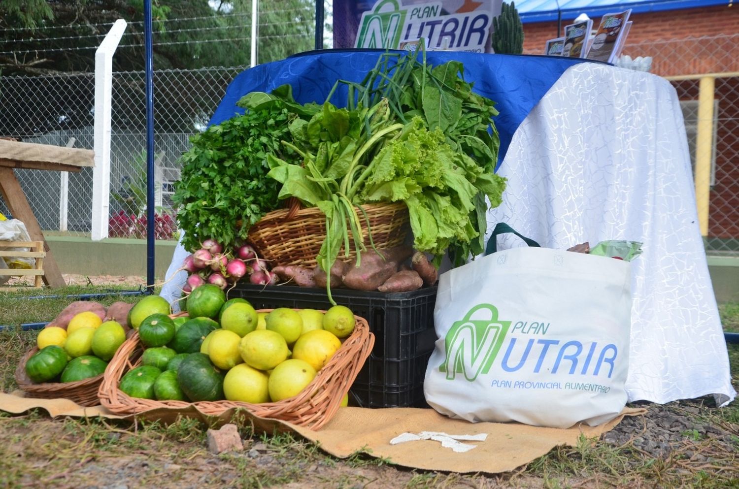 Plan Nutrir: entregas anticipadas por Semana Santa