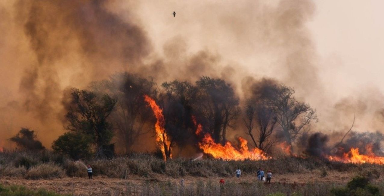 Importantes incendios en las islas frente a Rosario: preocupa la rotación del viento