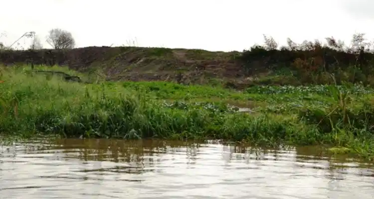 Terraplenes en la isla: El Juzgado citó a Forestadora del Delta a una audiencia