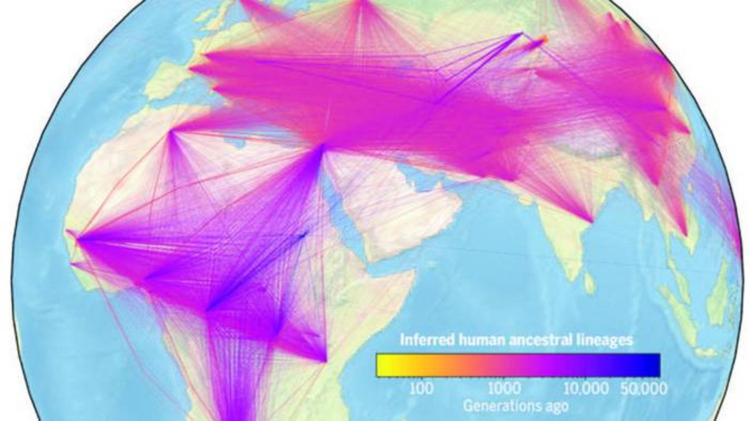 El árbol genealógico más grande de  la humanidad llega hasta nuestros inicios