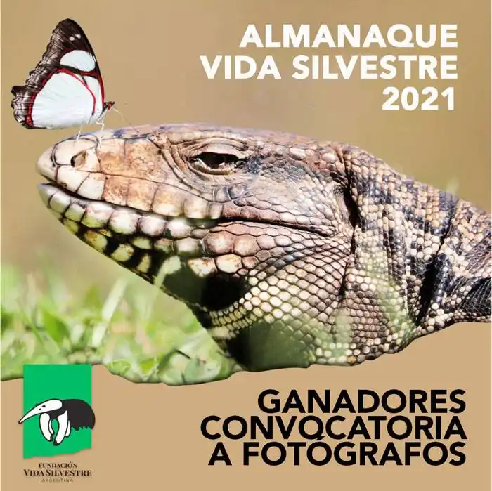 Ganadores de la convocatoria a fotógrafos para el Almanaque 2021 de Vida Silvestre