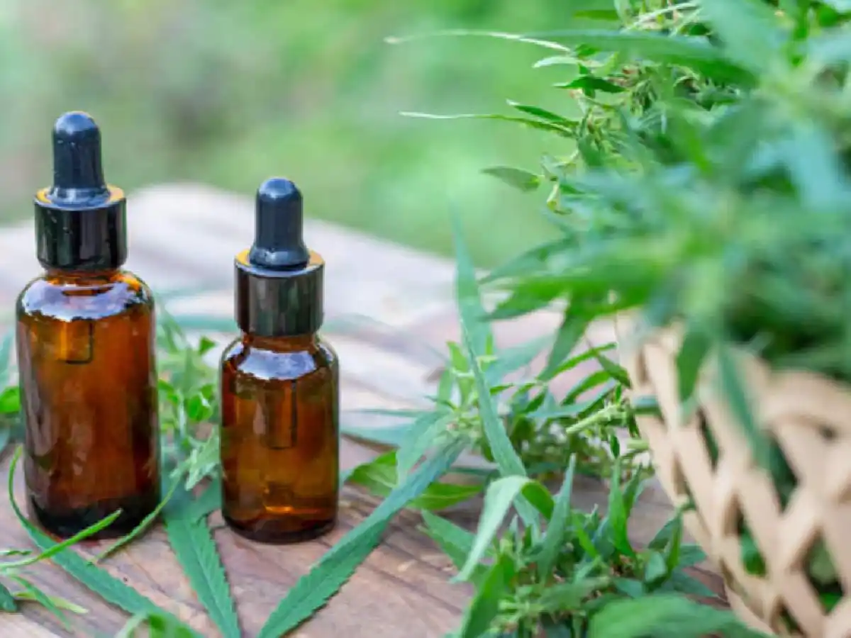 Aprobaron un régimen de excepción para el ingreso al país de productos con derivados de cannabis