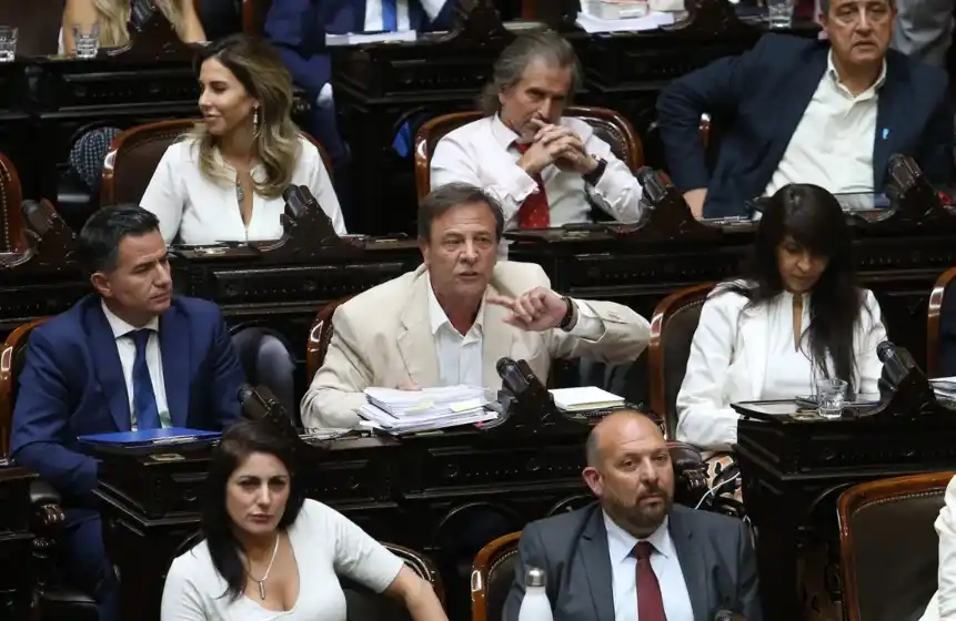 Ley Ómnibus: el oficialismo no logró conseguir la totalidad de las facultades delegadas que aspiraba