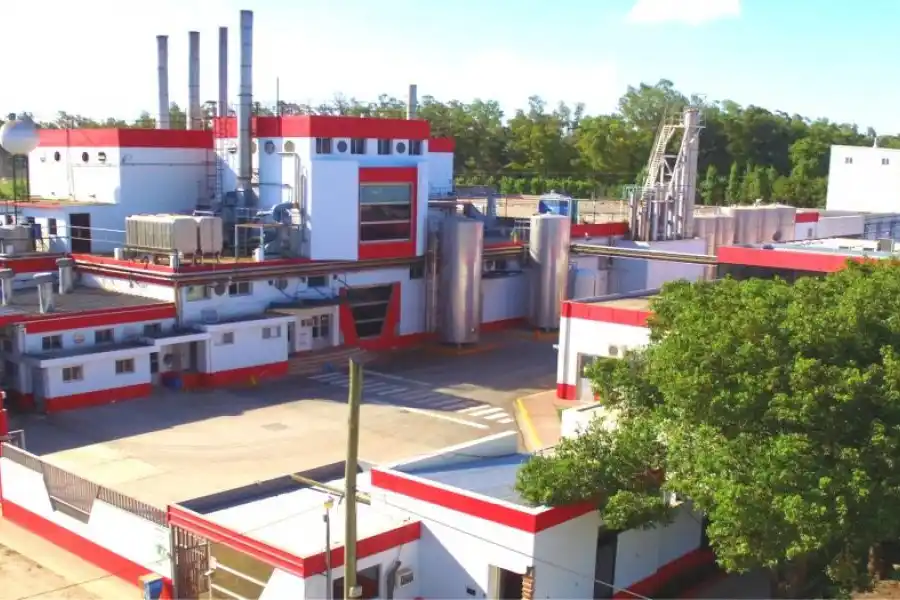 Condenaron al director de una conocida empresa esperancina por defraudación al Estado