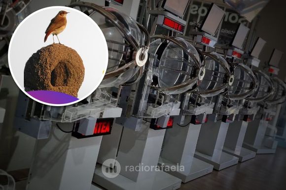 Sorteo Créditos Nido: “Invertimos para que las clases media y baja puedan acceder a su vivienda”, dijo Pullaro