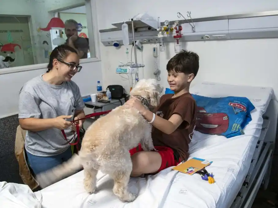 Cada vez son más las instituciones de salud públicas y privadas que adoptan esta iniciativa donde los animales de compañía se volvieron recurrentes en sus pasillos, contribuyendo de esta manera a la salud integral de los pacientes. Crédito: Subsecretaría de Comunicación Social / Silvio Moriconi.