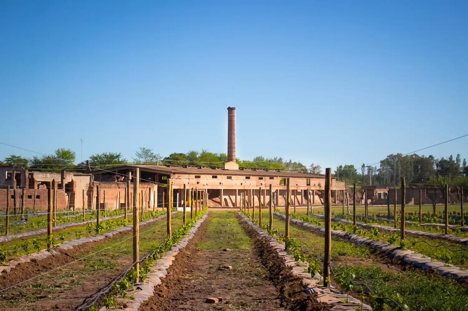 ex fabrica corinema