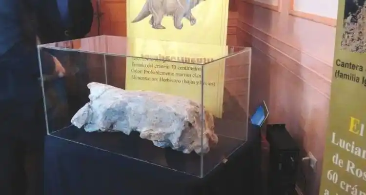 Un perezoso sampedrino, descubrimiento histórico para el Paleontológico