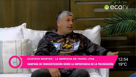 Miel: convocatoria para sumare al vivero forestal apícola